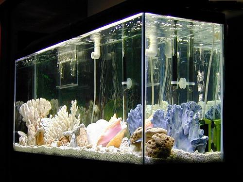 Floating Fish Tank