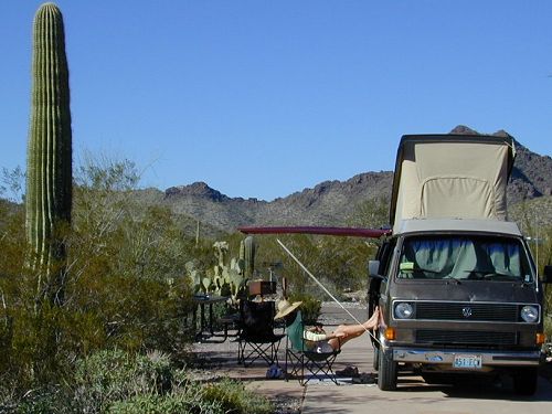 Organ Pipe National Monument