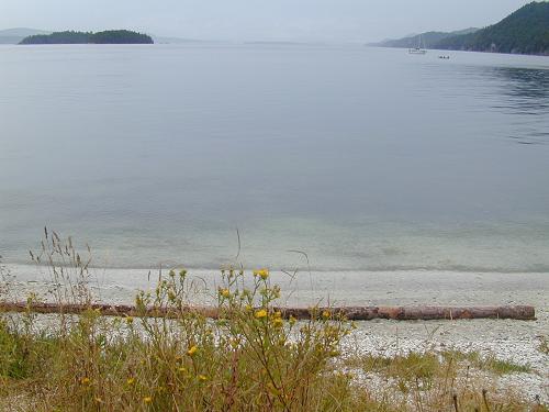 Crowded Beach