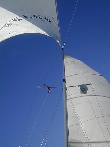 Sail Trim One