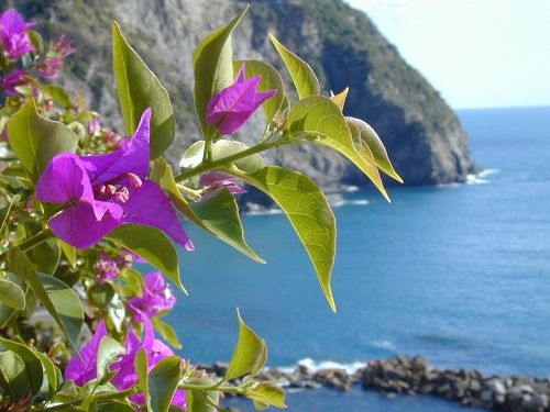 Cinque Terra