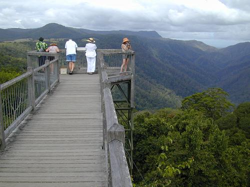 Dorrigo National Park