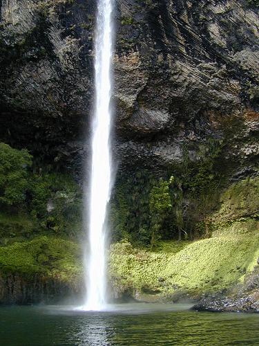 Plunge Pool