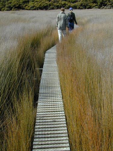 Boardwalk