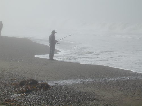 The Foggy Coast